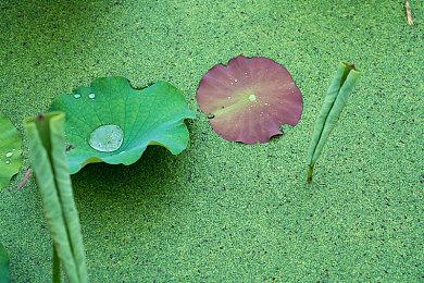 《返杀》Steam页面上线 动态影像枪战动作冒险